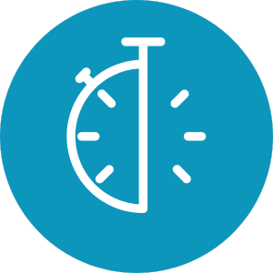 Icon Consultancy & Advies